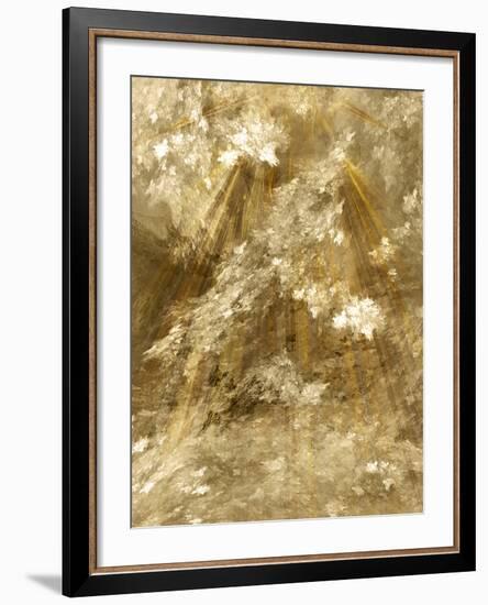 Fractal Light II-Alan Hausenflock-Framed Photographic Print