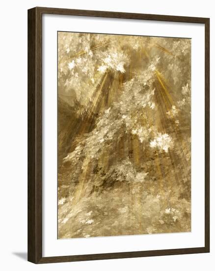 Fractal Light II-Alan Hausenflock-Framed Photographic Print