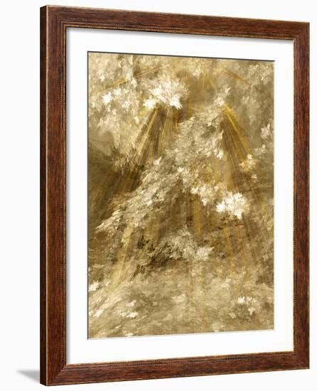 Fractal Light II-Alan Hausenflock-Framed Photographic Print