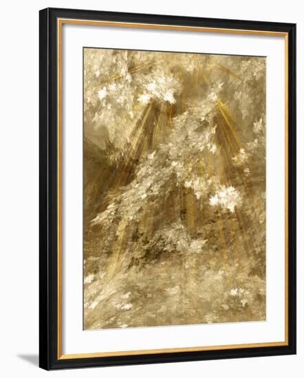 Fractal Light II-Alan Hausenflock-Framed Photographic Print