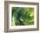 Fractal Light IV-Alan Hausenflock-Framed Photographic Print