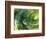 Fractal Light IV-Alan Hausenflock-Framed Photographic Print