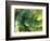 Fractal Light IV-Alan Hausenflock-Framed Photographic Print