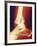 Fractured Ankle, X-ray-Miriam Maslo-Framed Photographic Print