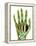 Fractured Palm Bones of Hand, X-ray-Science Photo Library-Framed Premier Image Canvas