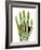 Fractured Palm Bones of Hand, X-ray-Science Photo Library-Framed Photographic Print