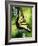 Fragile Beauty-Barbara Keith-Framed Giclee Print