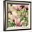 Fragile Pink Daisies-Gail Peck-Framed Art Print