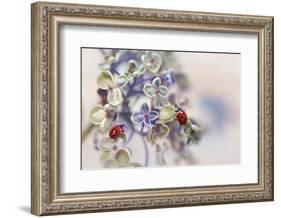 Fragile-Ellen van Deelen-Framed Photographic Print