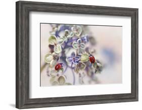 Fragile-Ellen van Deelen-Framed Photographic Print