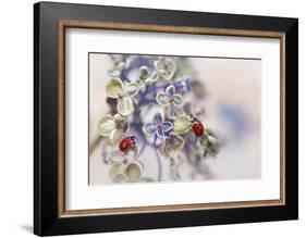 Fragile-Ellen van Deelen-Framed Photographic Print
