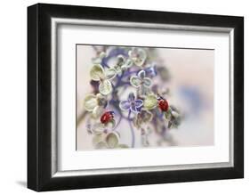 Fragile-Ellen van Deelen-Framed Photographic Print