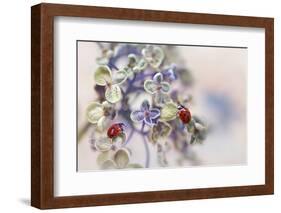 Fragile-Ellen van Deelen-Framed Photographic Print
