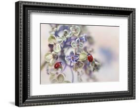 Fragile-Ellen van Deelen-Framed Photographic Print
