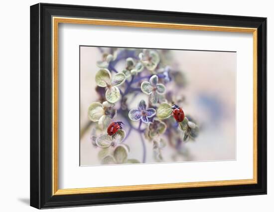 Fragile-Ellen van Deelen-Framed Photographic Print