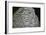 Fragment of a Babylonian bowl. Artist: Unknown-Unknown-Framed Giclee Print