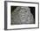 Fragment of a Babylonian bowl. Artist: Unknown-Unknown-Framed Giclee Print