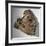 Fragment of a head, Ancient Egyptian, Amarna period, c1350-1334 BC-Werner Forman-Framed Photographic Print