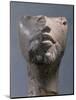 Fragment of a head, Ancient Egyptian, Amarna period, c1352-1336 BC-Werner Forman-Mounted Photographic Print