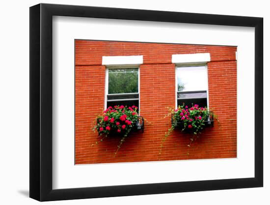 Fragment of a Red Brick House in Boston Historical North End with Wrought Iron Flower Boxes-elenathewise-Framed Photographic Print