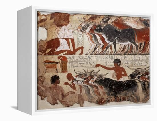 Fragment of a Tomb Painting Dating from Around 1400 BC from Thebes, Egypt, North Africa, Africa-Adam Woolfitt-Framed Premier Image Canvas