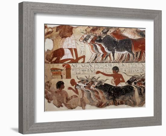 Fragment of a Tomb Painting Dating from Around 1400 BC from Thebes, Egypt, North Africa, Africa-Adam Woolfitt-Framed Photographic Print