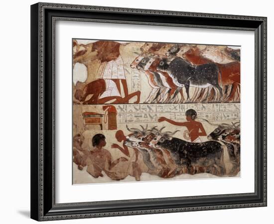 Fragment of a Tomb Painting Dating from Around 1400 BC from Thebes, Egypt, North Africa, Africa-Adam Woolfitt-Framed Photographic Print