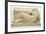 Fragment of Fountain of Perugia-Arnolfo di Cambio-Framed Giclee Print