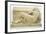 Fragment of Fountain of Perugia-Arnolfo di Cambio-Framed Giclee Print