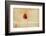 Fragment-Desislava Ignatova-Framed Photographic Print