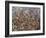 Fragmented Fall-James W Johnson-Framed Giclee Print