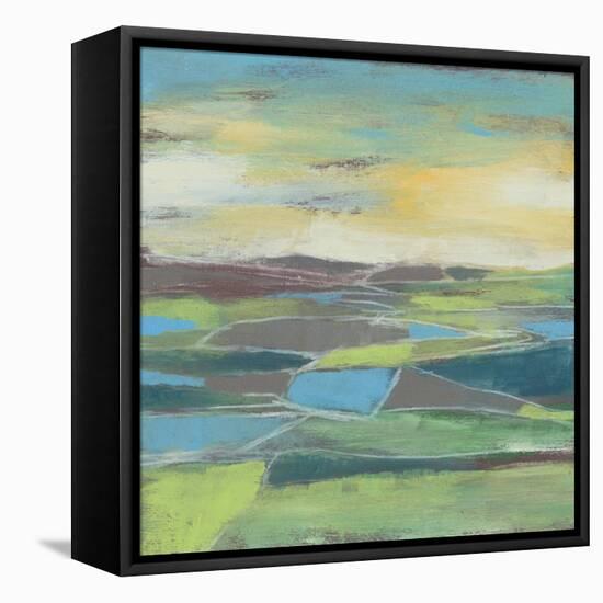 Fragmented Field II-Jennifer Goldberger-Framed Stretched Canvas