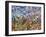 Fragmented Garden 9K-James W Johnson-Framed Giclee Print