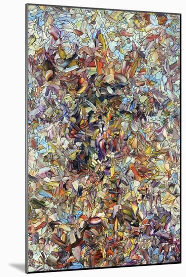 Fragmented Horse-James W. Johnson-Mounted Giclee Print