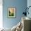 Fragrant Hyacinth-Angela Drury-Framed Photographic Print displayed on a wall
