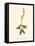 'Fragrant Lady's Tresses', c1891, (1891)-Anne Pratt-Framed Premier Image Canvas