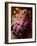 Fragrant Lilacs-Ruth Palmer 2-Framed Art Print