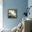 Fragrant Spring-Elizabeth Horning-Framed Premier Image Canvas displayed on a wall