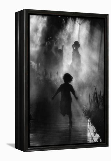 Fraicheur D'Asie-Eric Drigny-Framed Premier Image Canvas