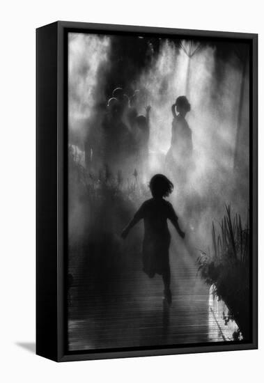 Fraicheur D'Asie-Eric Drigny-Framed Premier Image Canvas