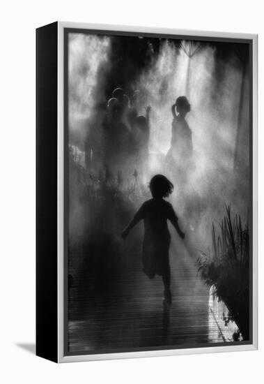 Fraicheur D'Asie-Eric Drigny-Framed Premier Image Canvas