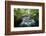 Fraicheur De La Foret-Philippe Manguin-Framed Photographic Print