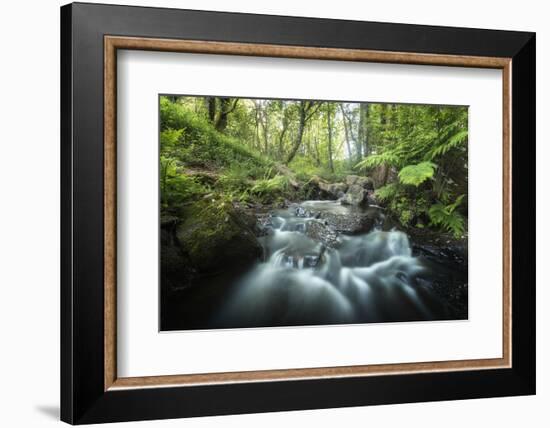 Fraicheur De La Foret-Philippe Manguin-Framed Photographic Print