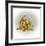 Fraidy Cat-Peggy Harris-Framed Giclee Print