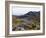 Frailejon Plants (Espeletia) at Laguna Grande Del Los Verde, El Cocuy National Park, Colombia-Christian Kober-Framed Photographic Print