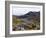 Frailejon Plants (Espeletia) at Laguna Grande Del Los Verde, El Cocuy National Park, Colombia-Christian Kober-Framed Photographic Print