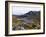 Frailejon Plants (Espeletia) at Laguna Grande Del Los Verde, El Cocuy National Park, Colombia-Christian Kober-Framed Photographic Print