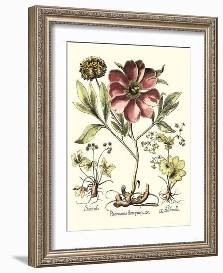 Framboise Floral I-Besler Basilius-Framed Art Print