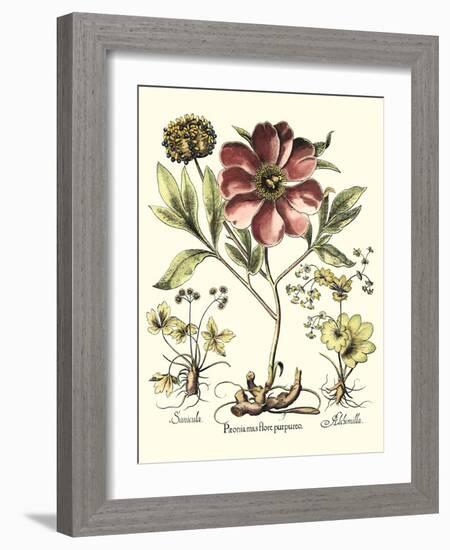 Framboise Floral I-Besler Basilius-Framed Art Print