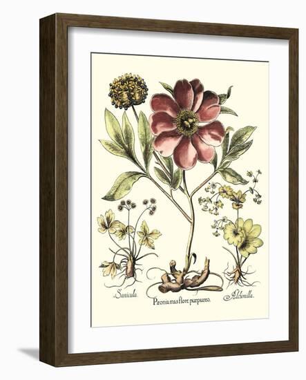 Framboise Floral I-Besler Basilius-Framed Art Print